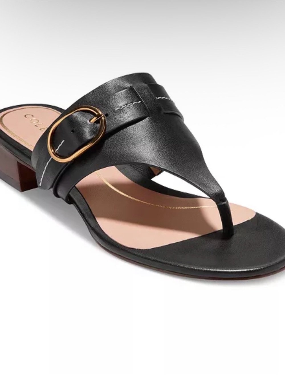 Cole Haan Gayle Black Leather Thong Sandal with Gold Buckle Sz 6.5 new!